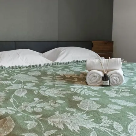 Apartment Un Dormitor In Baneasa
