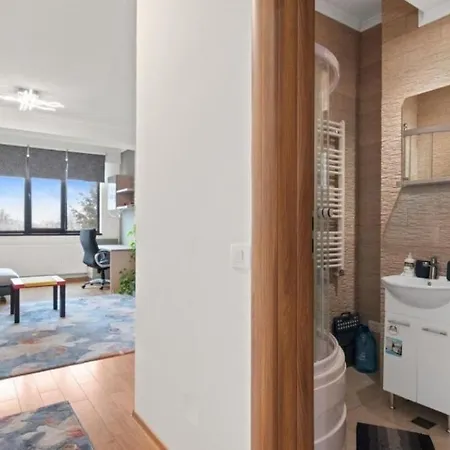 Apartment Un Dormitor In Baneasa *